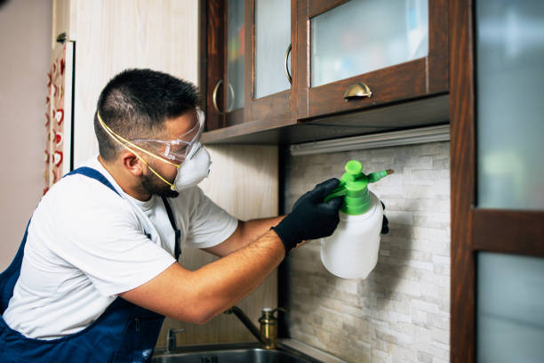 Best Exterminator Services  in Kingston, IL