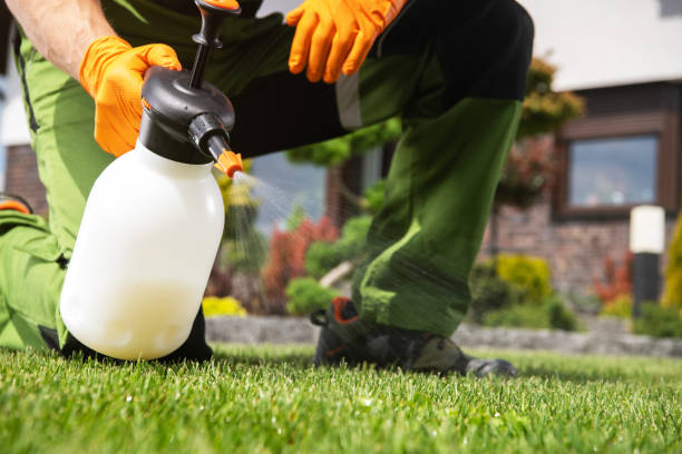 Best Emergency Pest Control  in Kingston, IL