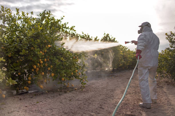 Best Affordable Pest Control Services  in Kingston, IL