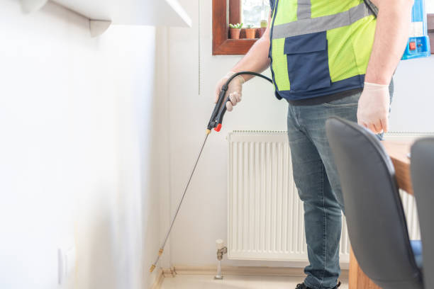 Trusted Kingston, IL Pest Control Experts