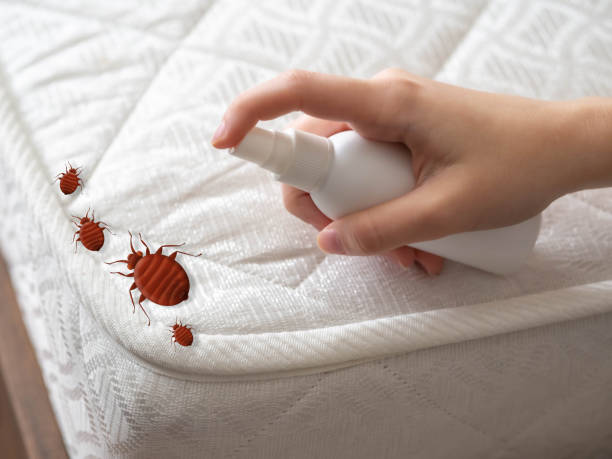 Best Best Pest Control Companies  in Kingston, IL