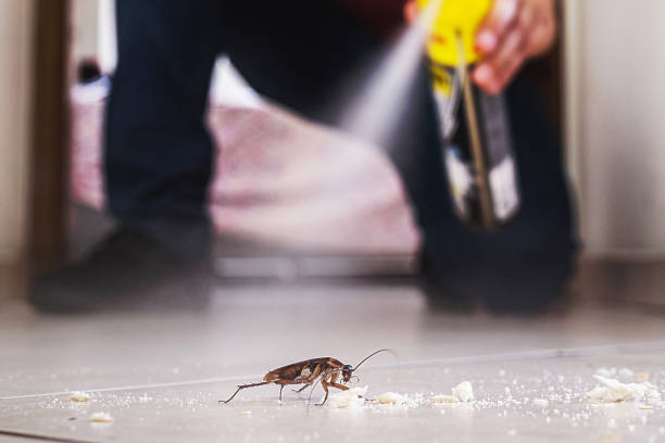 Best Mosquito Control Services  in Kingston, IL
