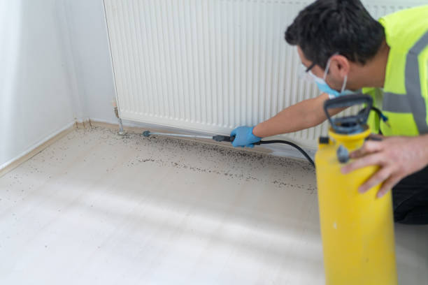 Best Rat Extermination Near Me  in Kingston, IL