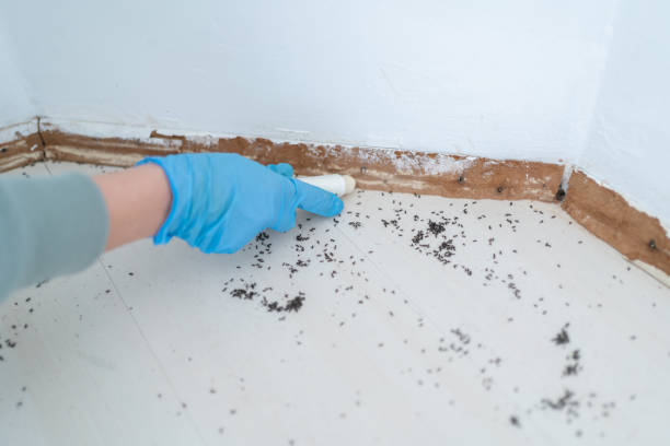 Best Best Pest Control Companies  in Kingston, IL