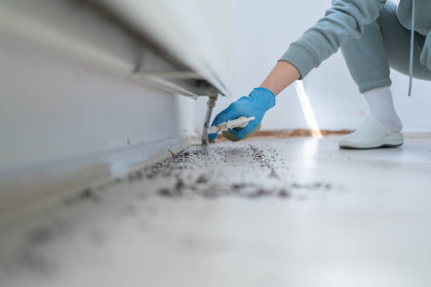 Best Commercial Pest Control Services  in Kingston, IL