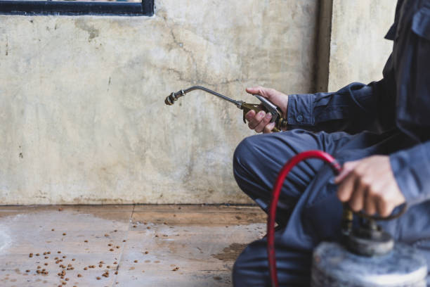 Best Wasp Removal Services  in Kingston, IL