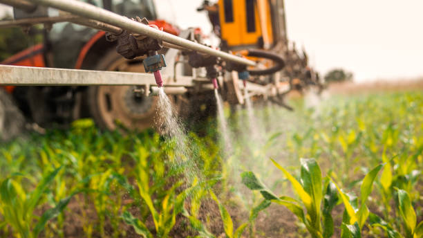 Best Pest Control Treatment  in Kingston, IL