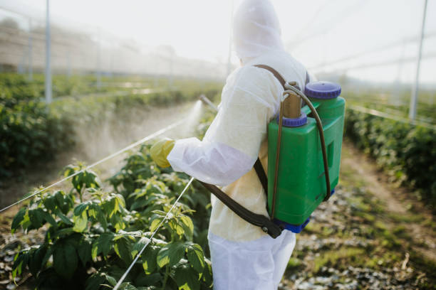 Best Cockroach Control Services  in Kingston, IL